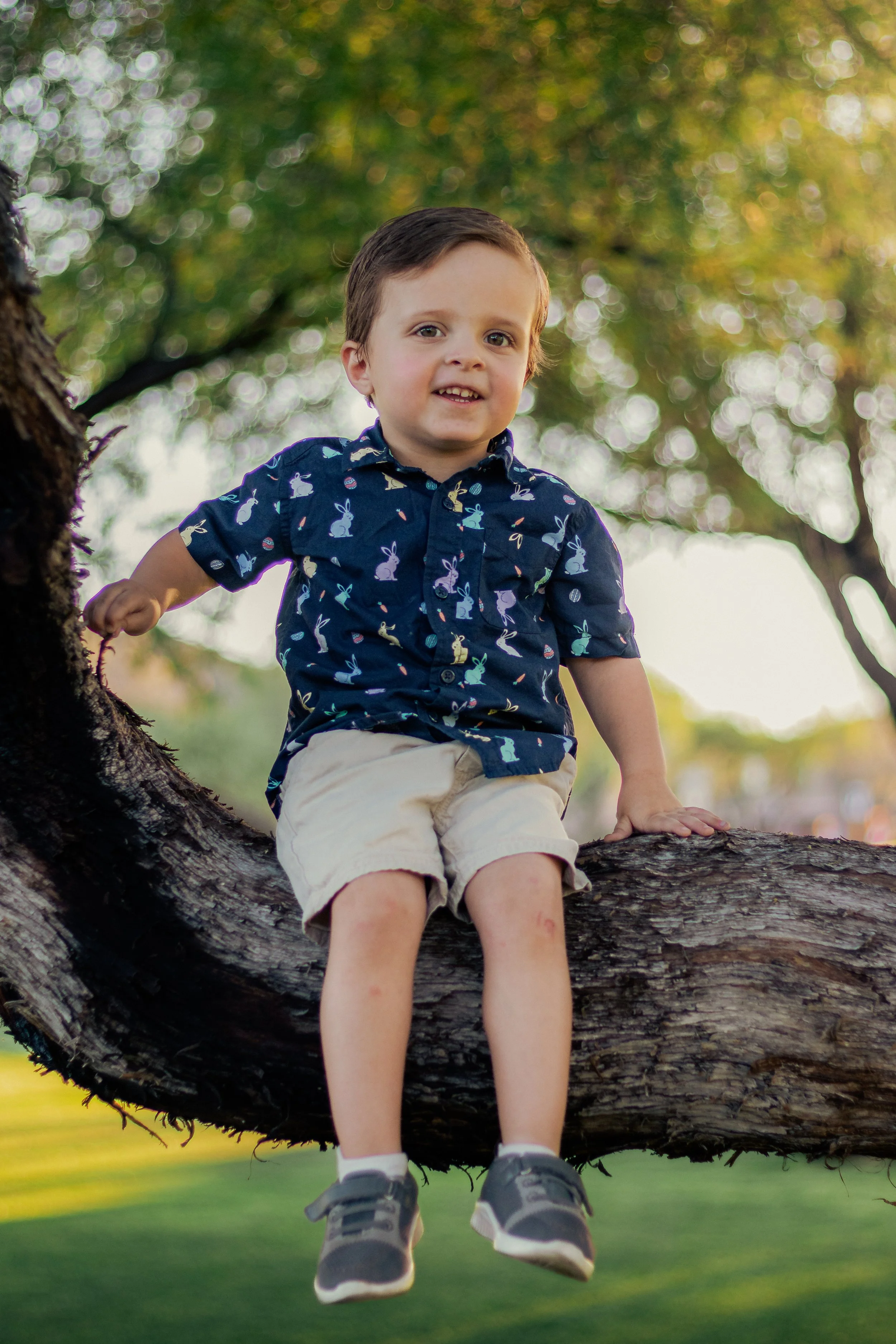 A young boy dressed in a blue shirt with bunny prints and khaki shorts sitting on a tree branch in a park during daytime.