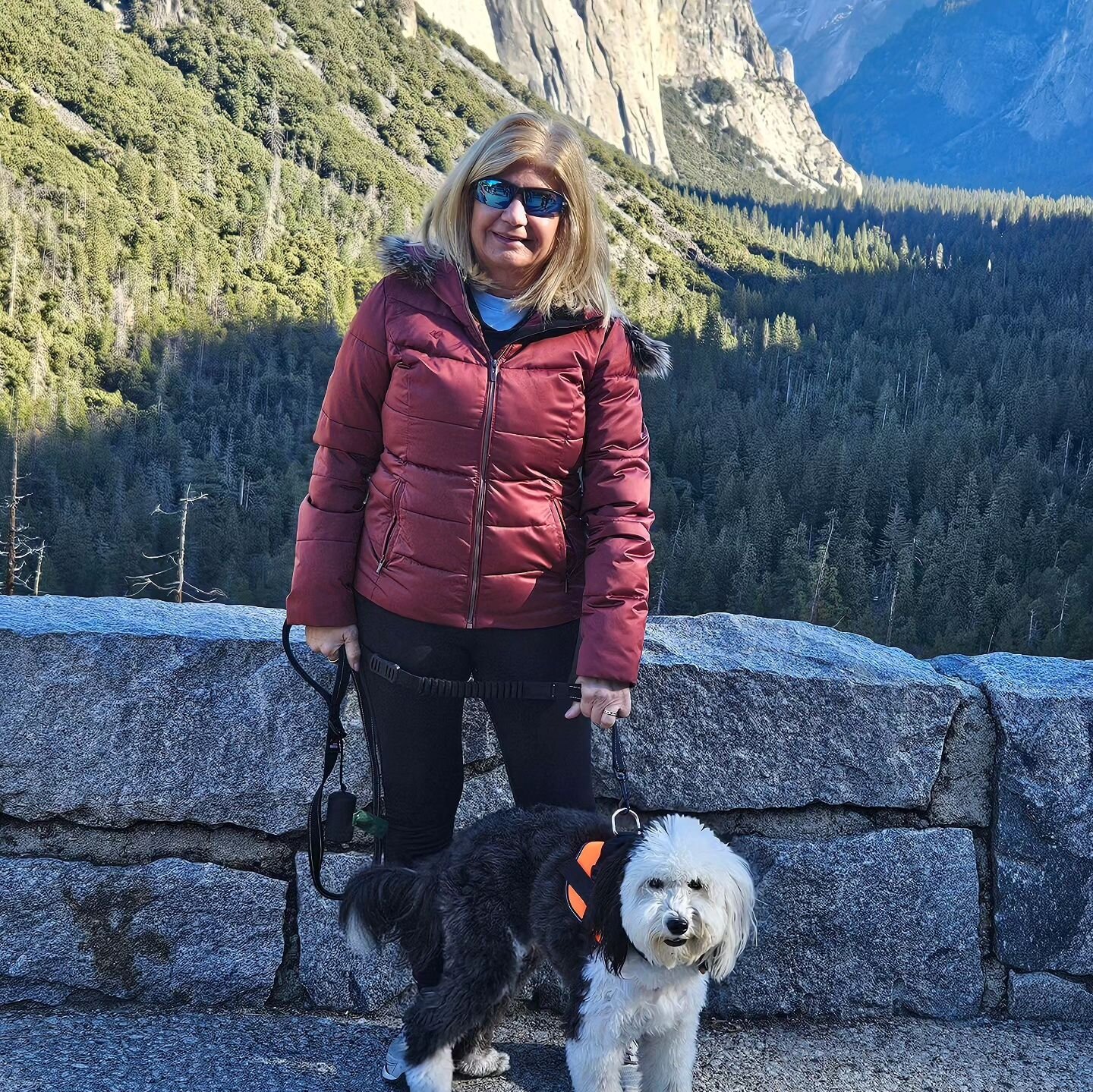 Stunning Yosemite! Natural beauty that is breathtaking! Alfie had a great time taking it all in with us 🐕