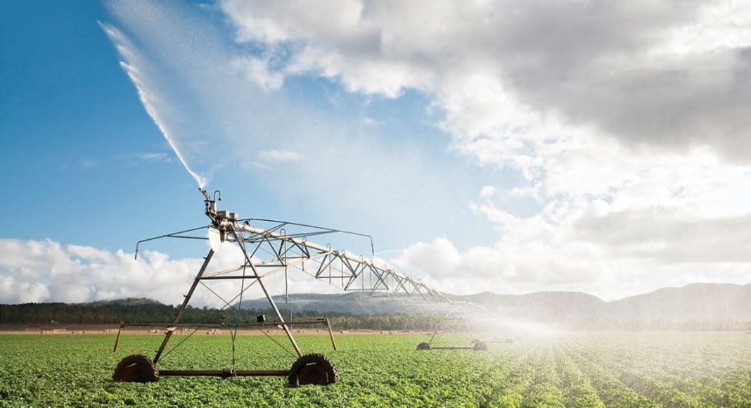 potato-irrigation-1068x580.jpg