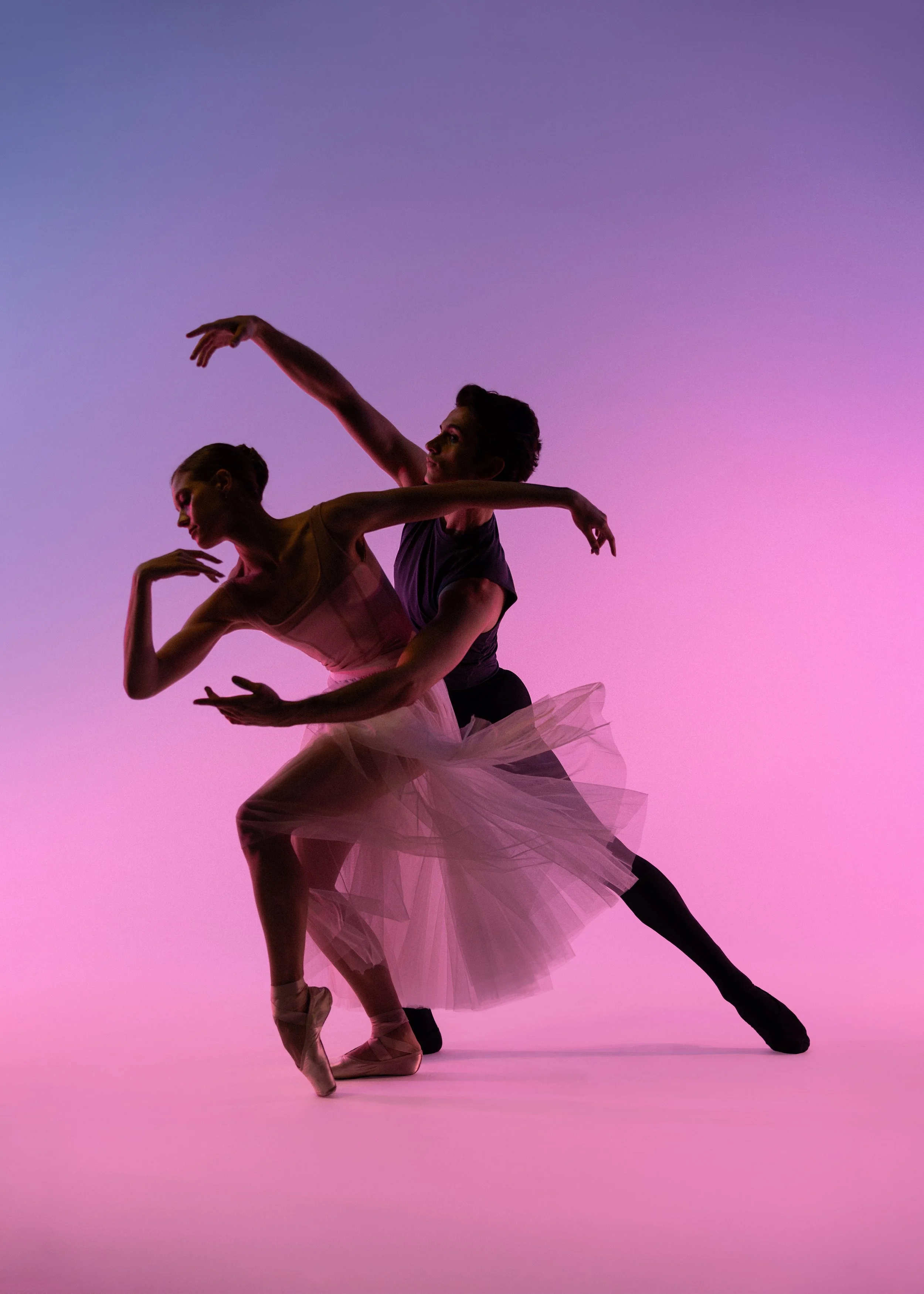 Pointeworks Season 2 Campaign Photo