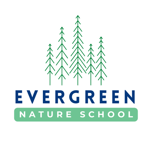 Evergreen Nature School - 100% outdoor nature immersion