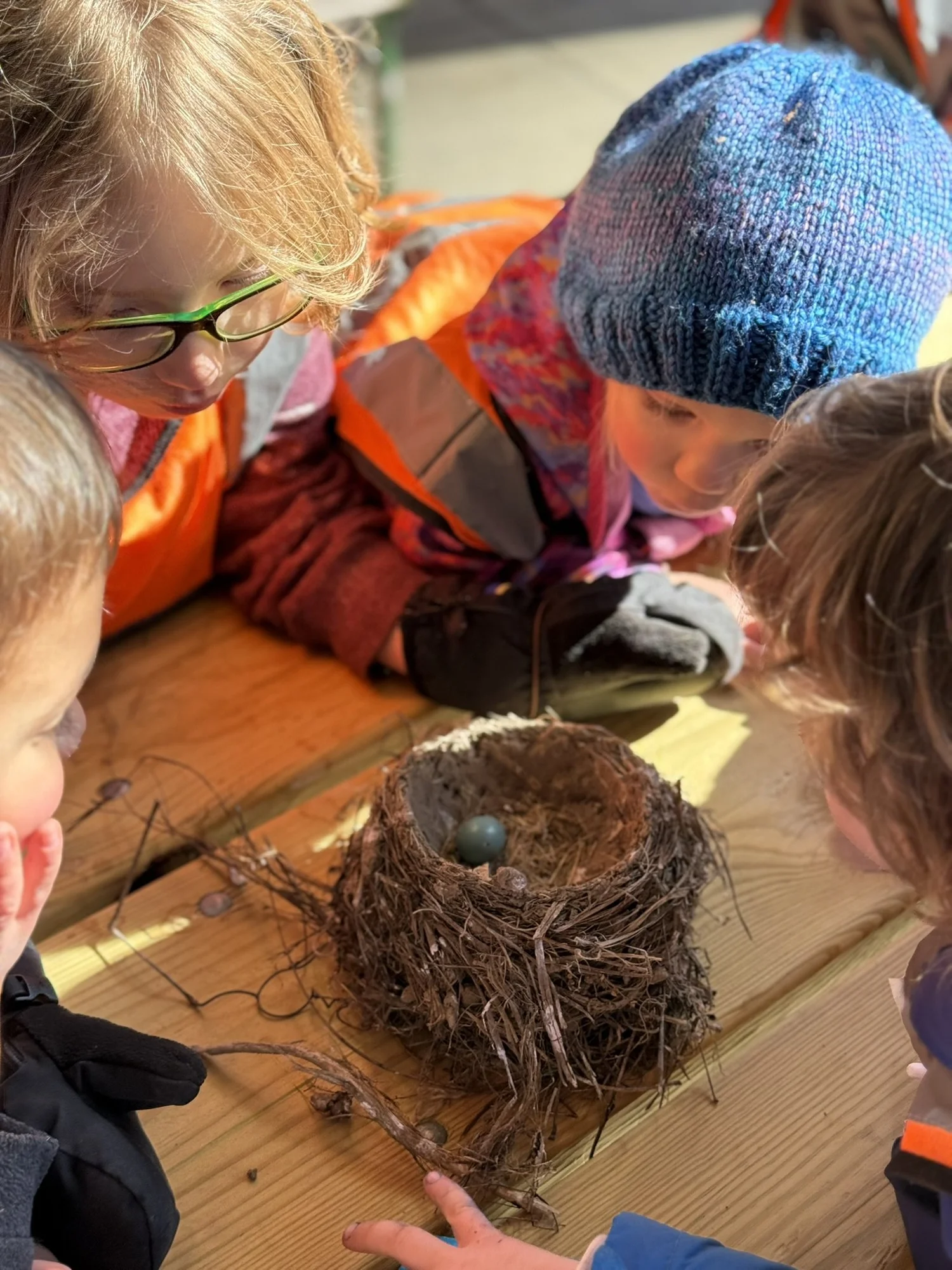 Connecting children with nature and learning Spanish — Evergreen Nature ...