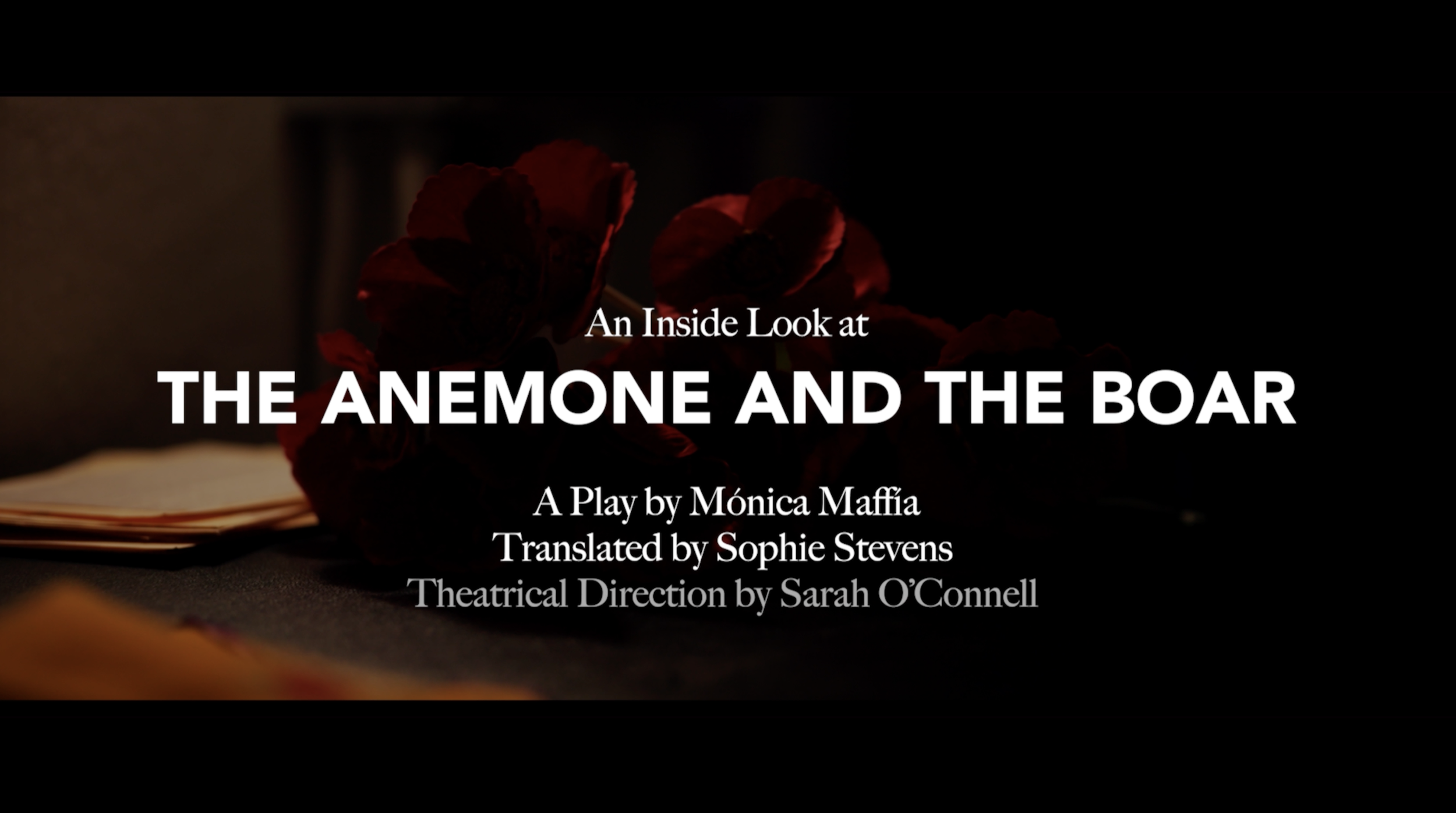 The Anemone and the Boar