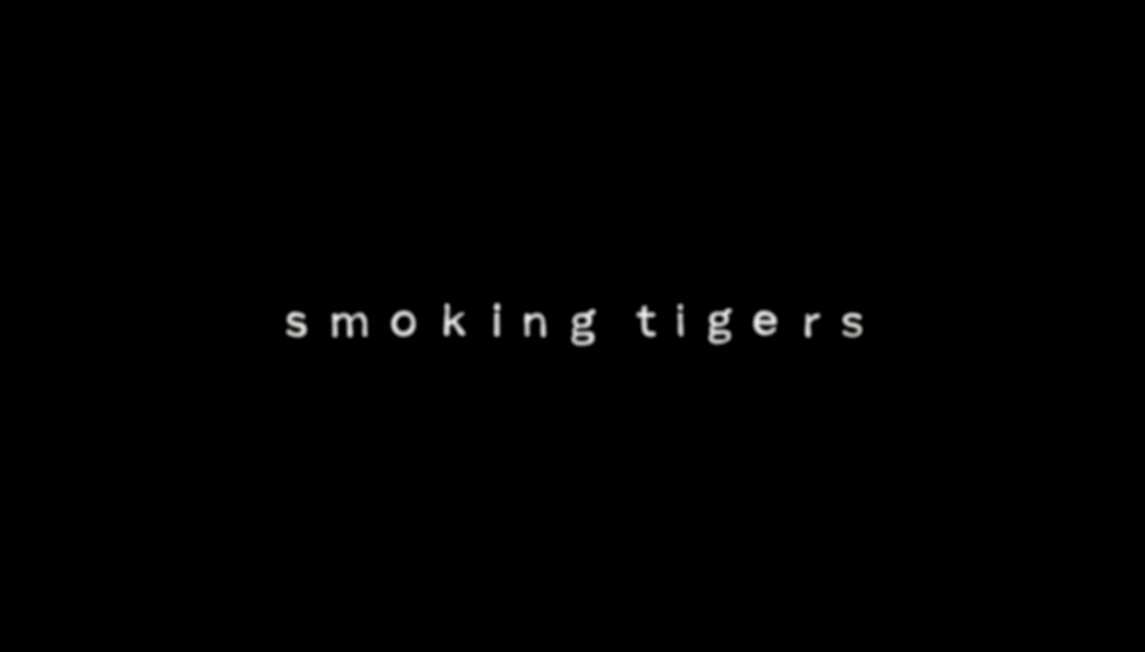 Smoking Tigers