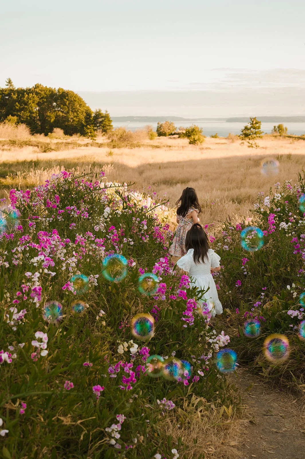 Bellevue's best family photographer working in Seattle wildflowers. Two little girls running in the flower fields while chasing bubbles. 
