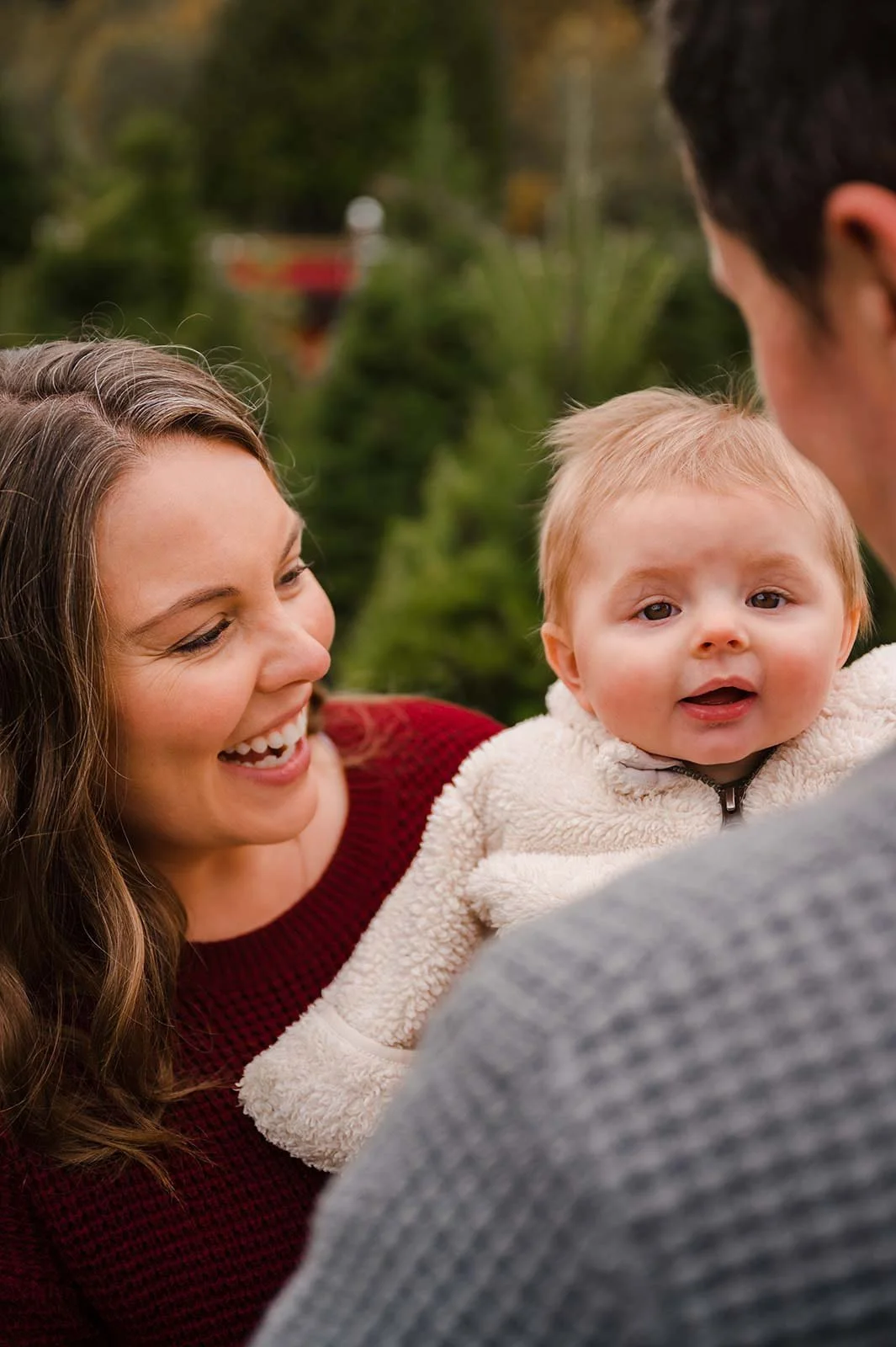 Christmas tree farm mini sessions (31).jpg