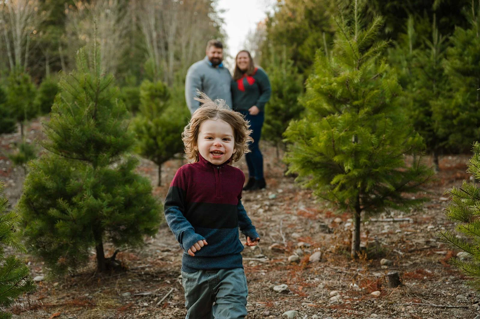 Christmas tree farm mini sessions (19).jpg