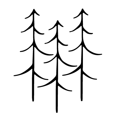 3 pine trees.png