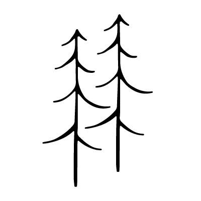 2 pine trees.png