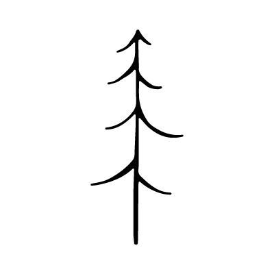 pine tree.png