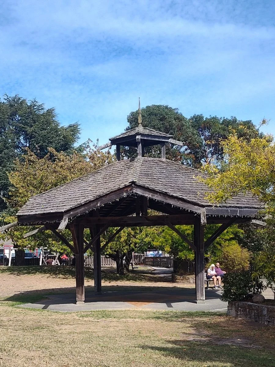 Improving Local Government 