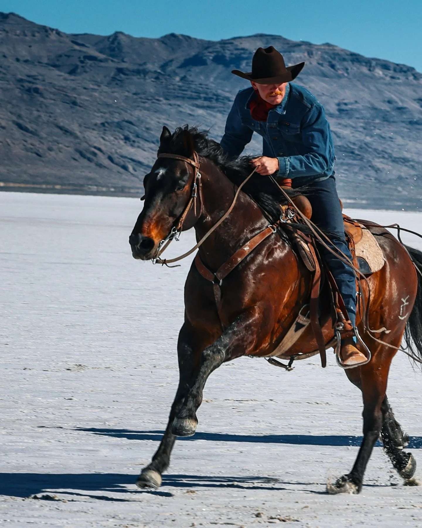 &ldquo;Women can&rsquo;t catch them a cowboy&rdquo;&hellip;FALSE🔥🔥🔥😮&zwj;💨

Sneak peak behind my bucket list shoot for @resistolboots 

The last 4 days will be forever engrained in my soul! The footage we got is absolutely out of this world! Can