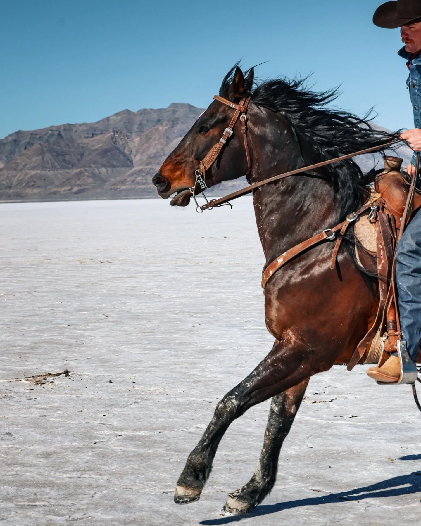 Cowboys, horses and the desert🔥😮&zwj;💨
Photography combo made in heaven 

Pretty sure Mo could fly if he really put his mind to it🪽
Watching horses run wide open will forever be one of my favorite things to photograph🙌🏼

Resistol boot shoot wit