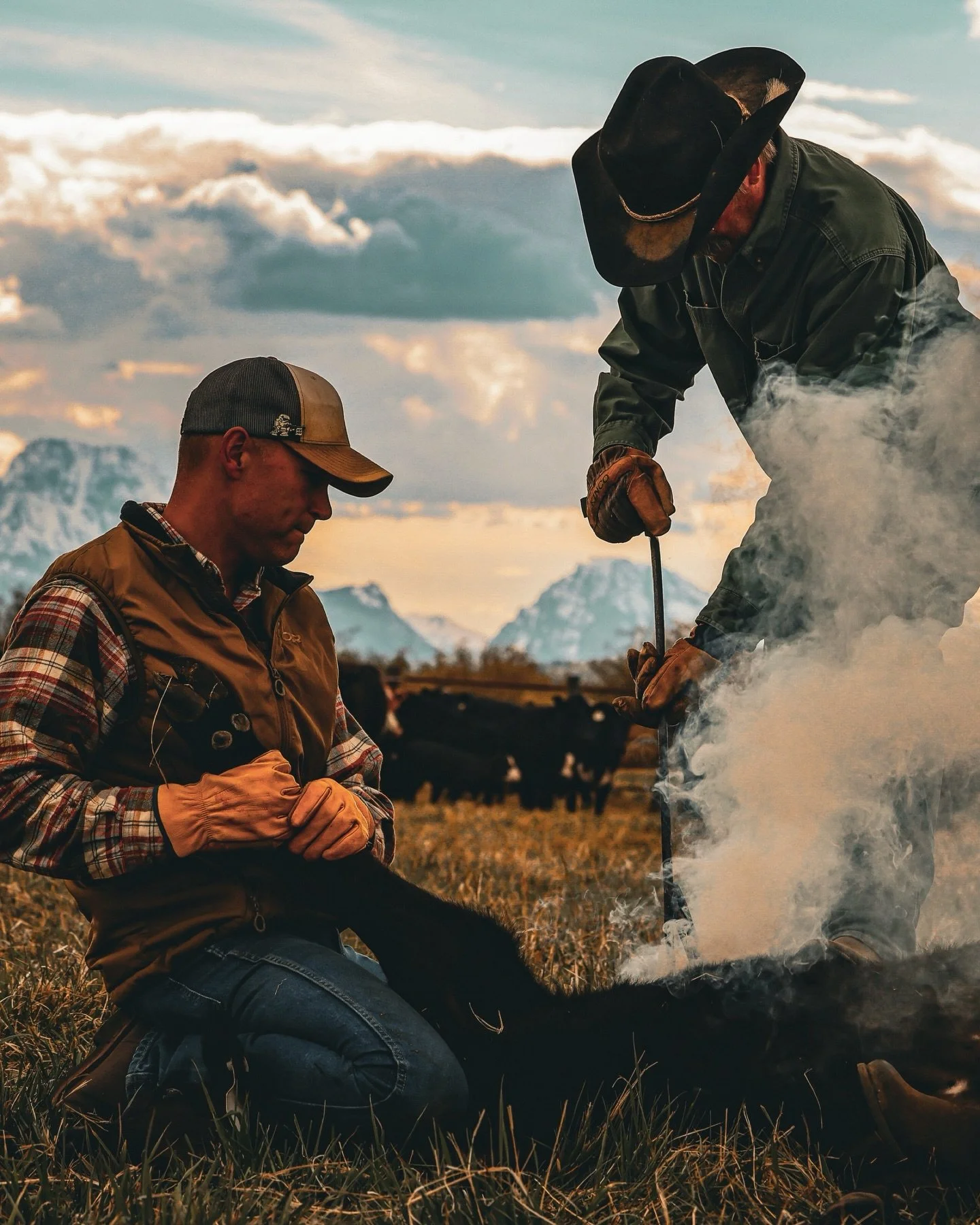 2026 Branding season is HERE! 
Lots of photos coming soon! 🔥🔥🔥

.

.

.

#cowboy #cattle #branding #wyoming #wyominglife