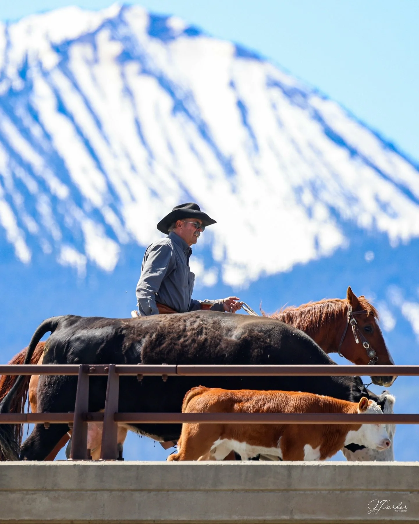 Family Cattle drive in the sky🔥😮&zwj;💨
Part 1! First one of the year! 

.

.

.

#cowboy #cowgirl #family #familytradition #wyoming