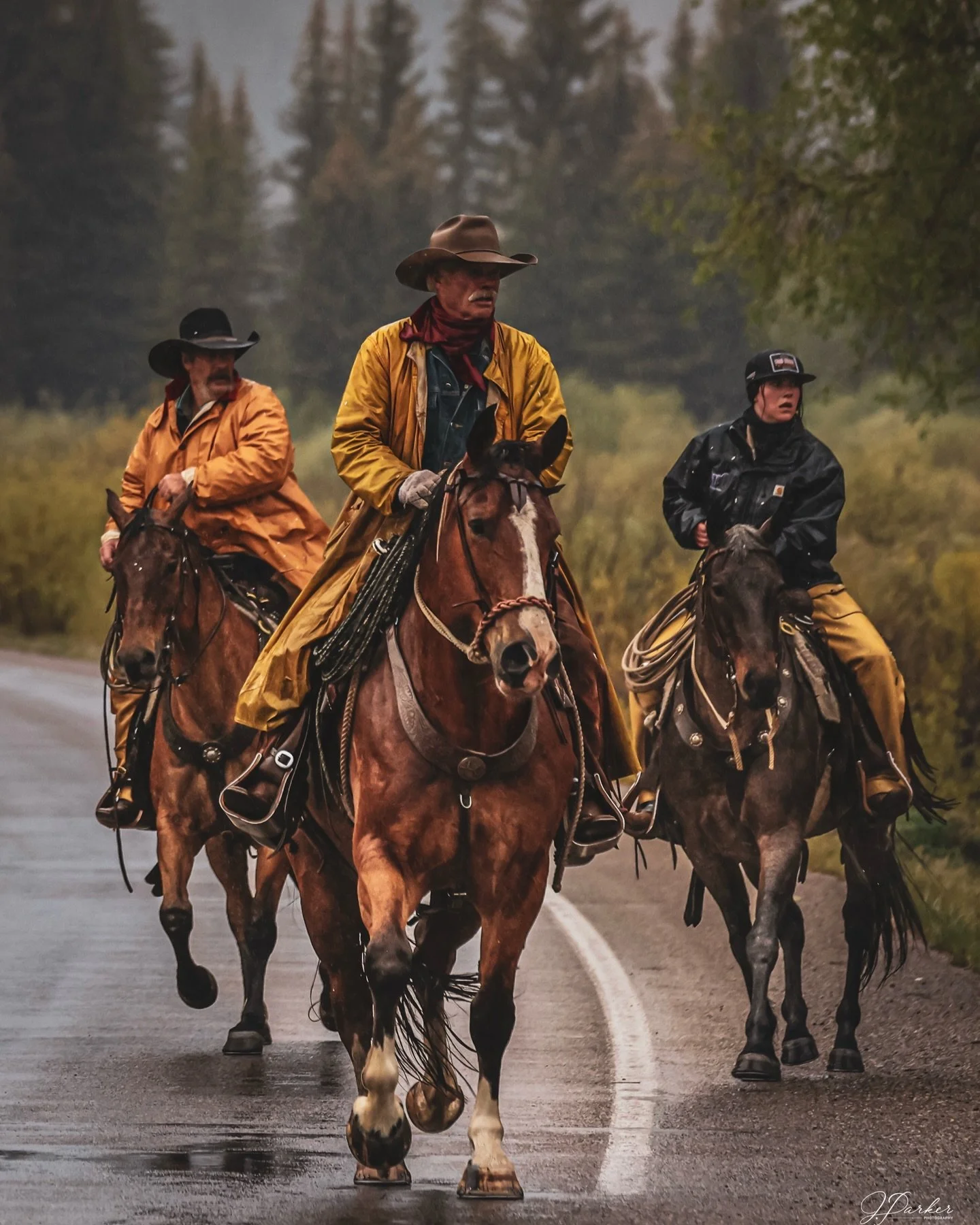 Pinto cattle drive part 2🔥

So many photos from yesterday had to post one more! In realtime sequence POV mode as it was happening!

Thank you again @brandyjo17 
.

.

.

.

#cowboy #cowgirl #cattle #wyoming #ranch
