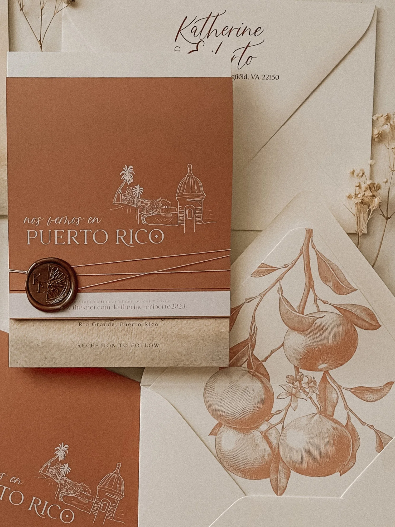 image_6483441 (8).JPG