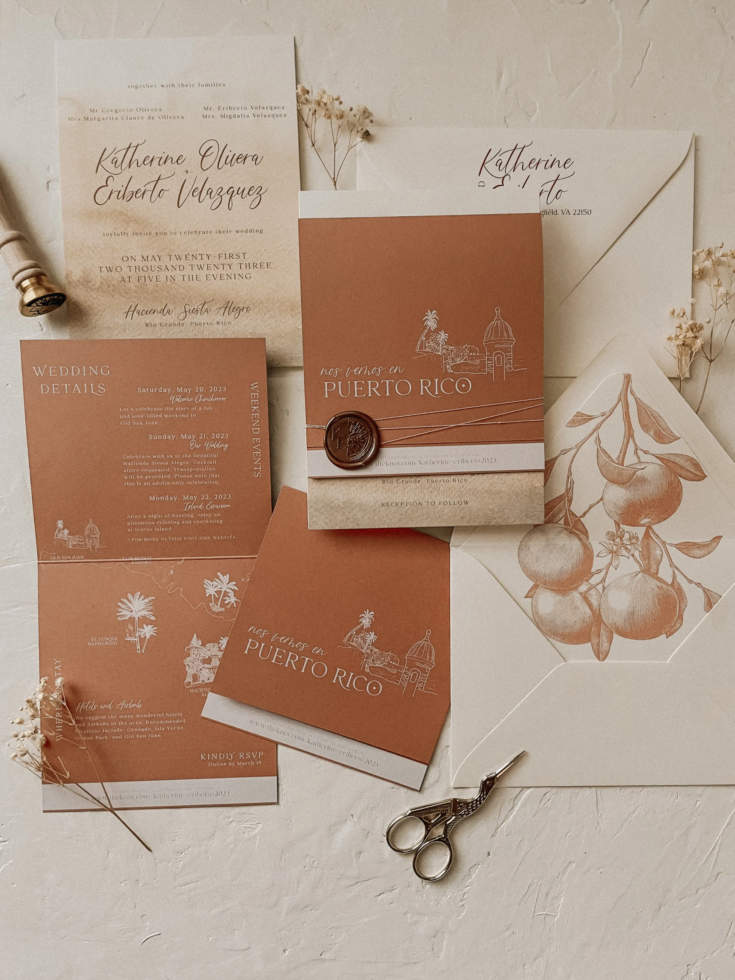 image_6483441 (17).JPG