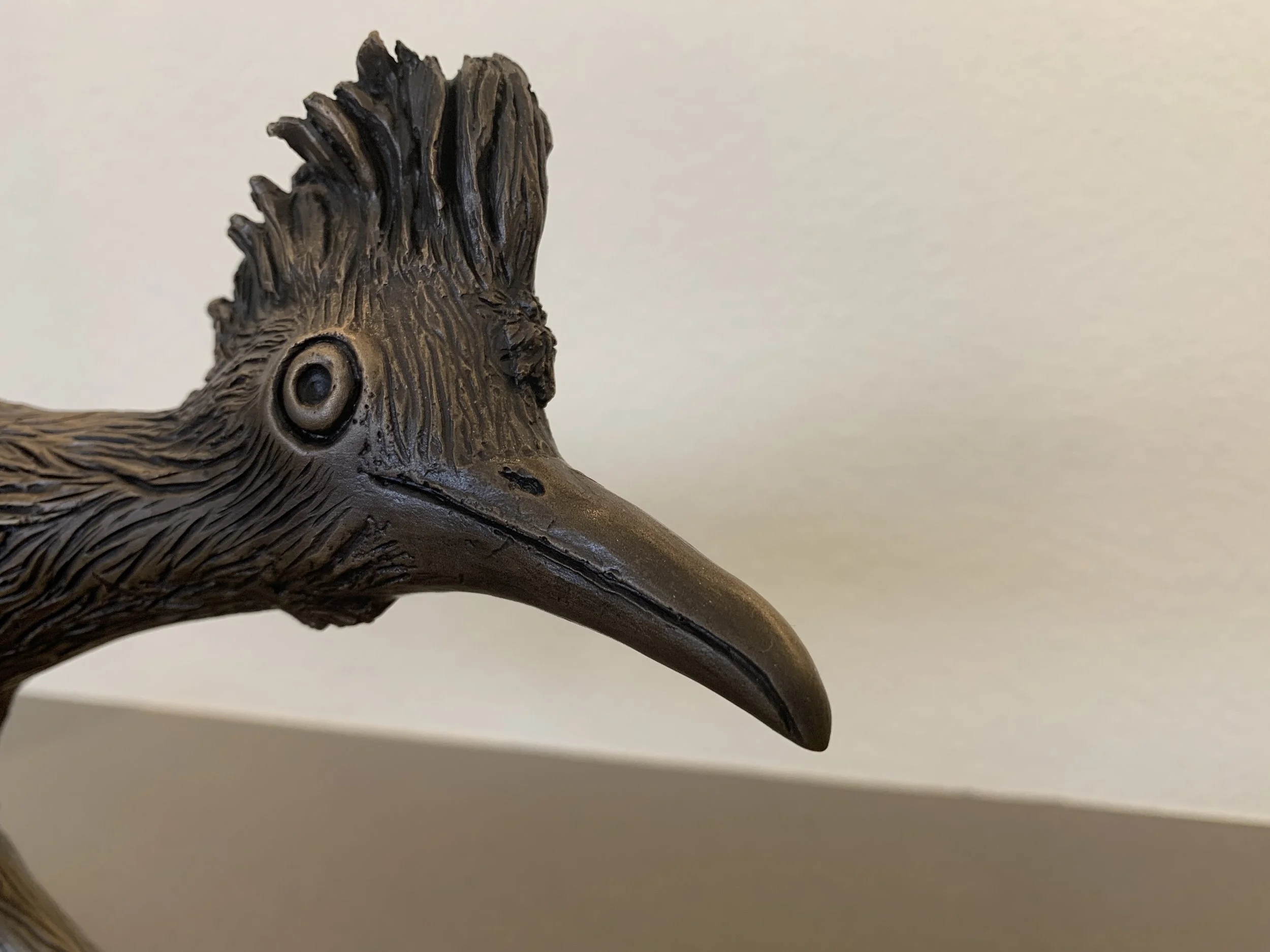 Forsberg_Roadrunner_1.JPG