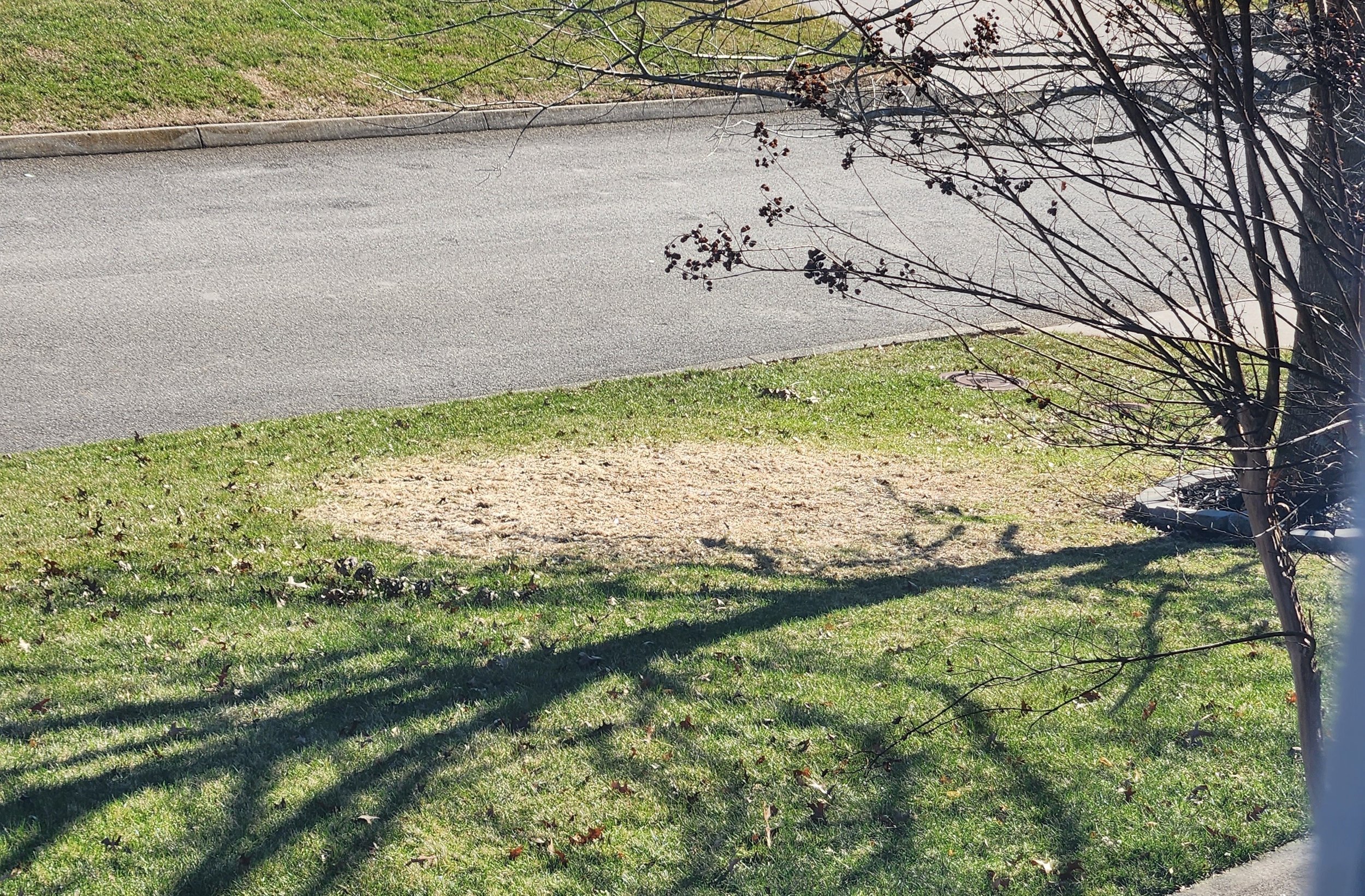 20230124_110749.jpg