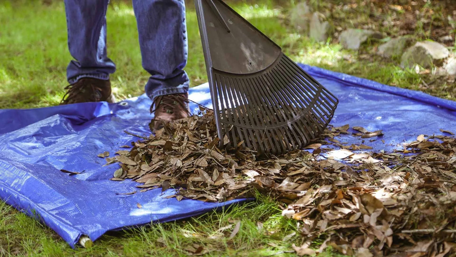 raking-leaves-onto-a-tarp-with-wooden-dowels.jpg.optimal.jpg