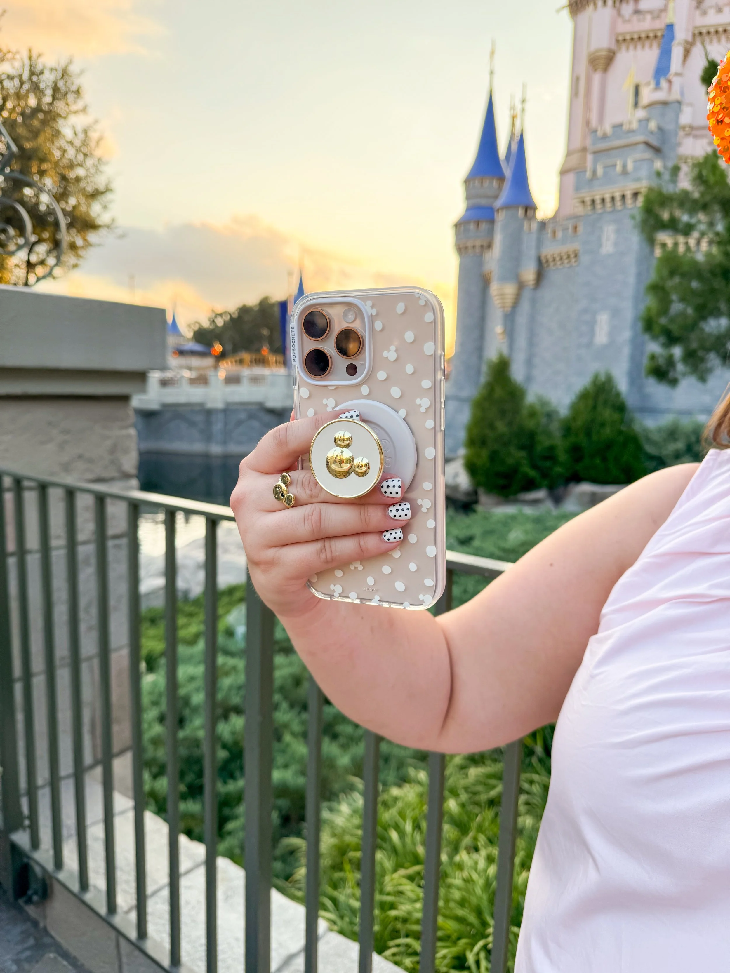 phone in front of cinderella castle