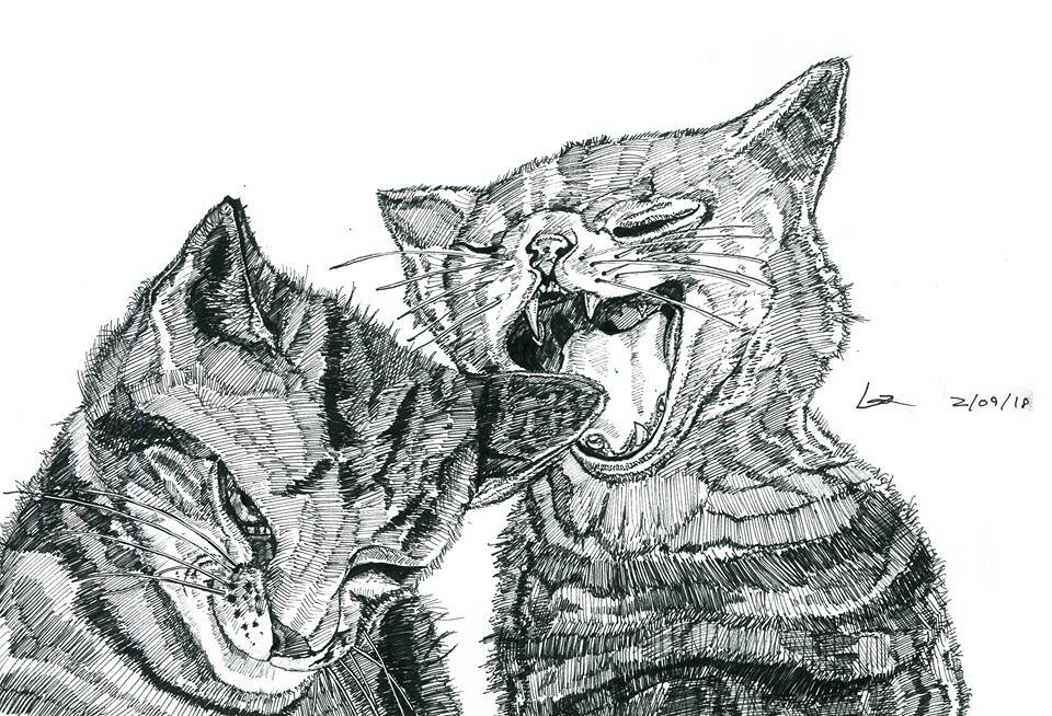 Twins. Pen on Paper