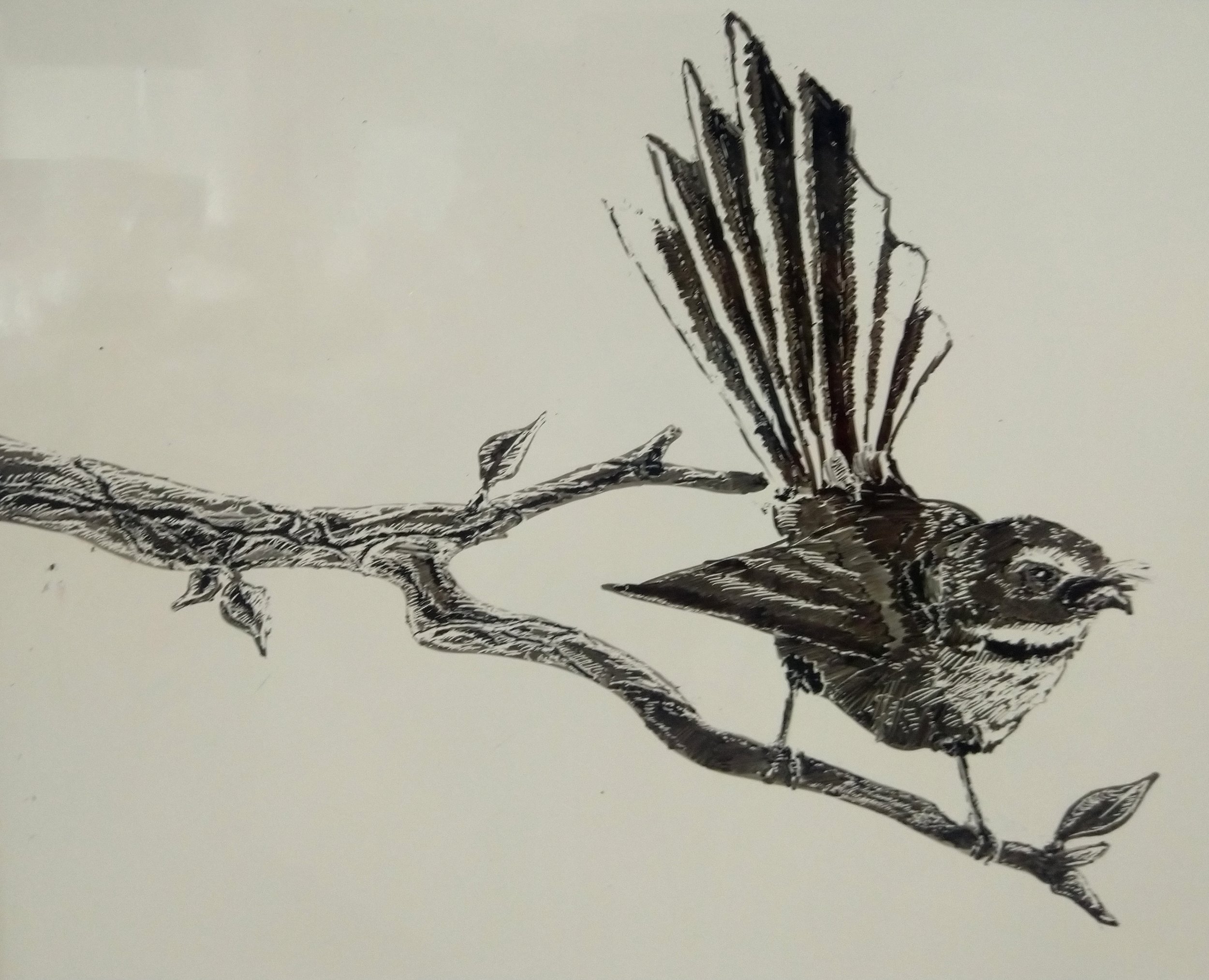Piwakawaka (fantail). Marker on whiteboard