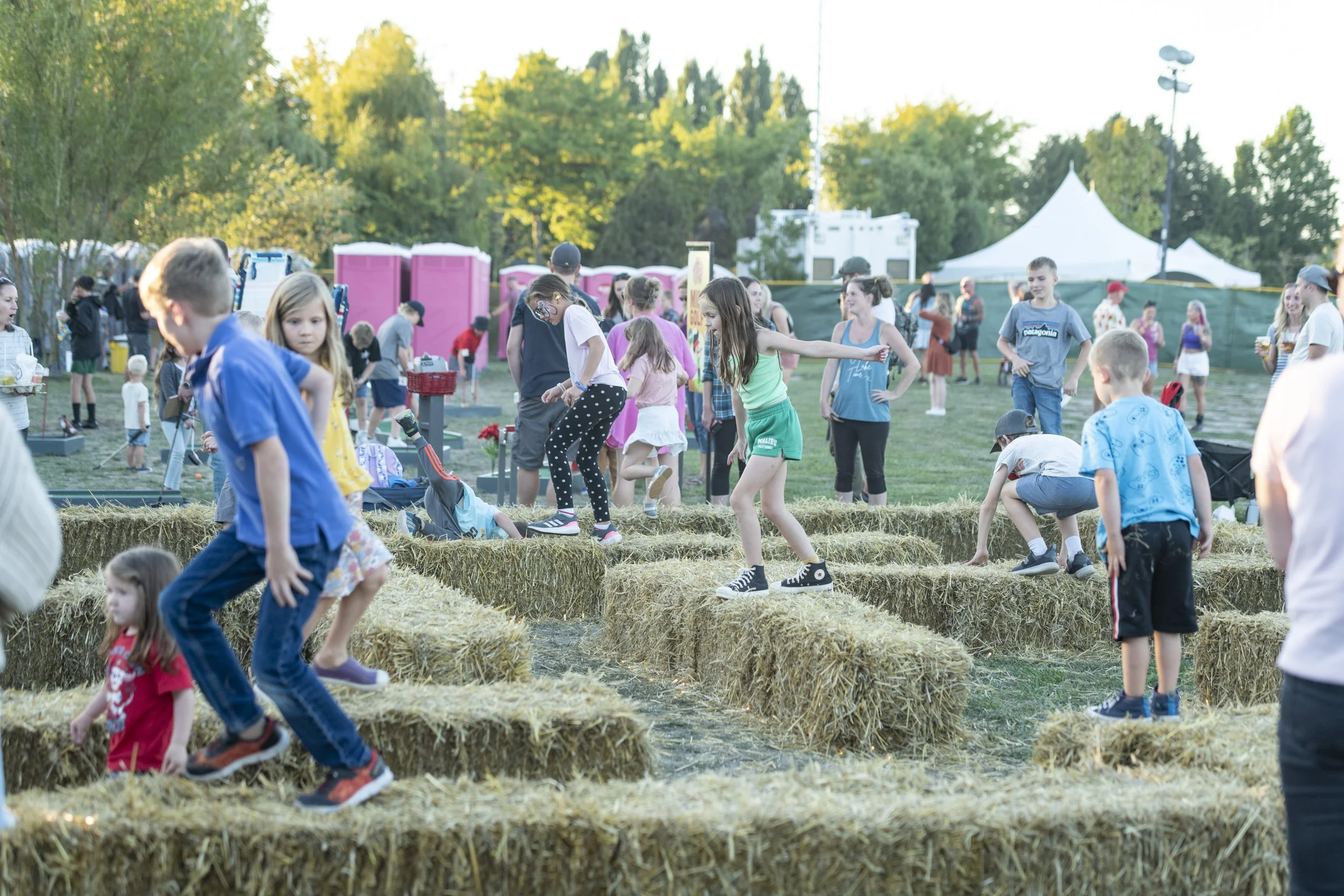 Harvest Festival 2025 Barnside Ny Collie Marcella