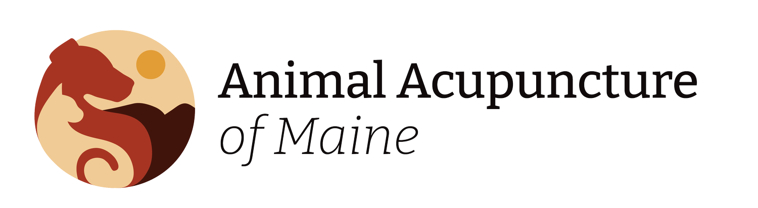 Animal Acupuncture of Maine