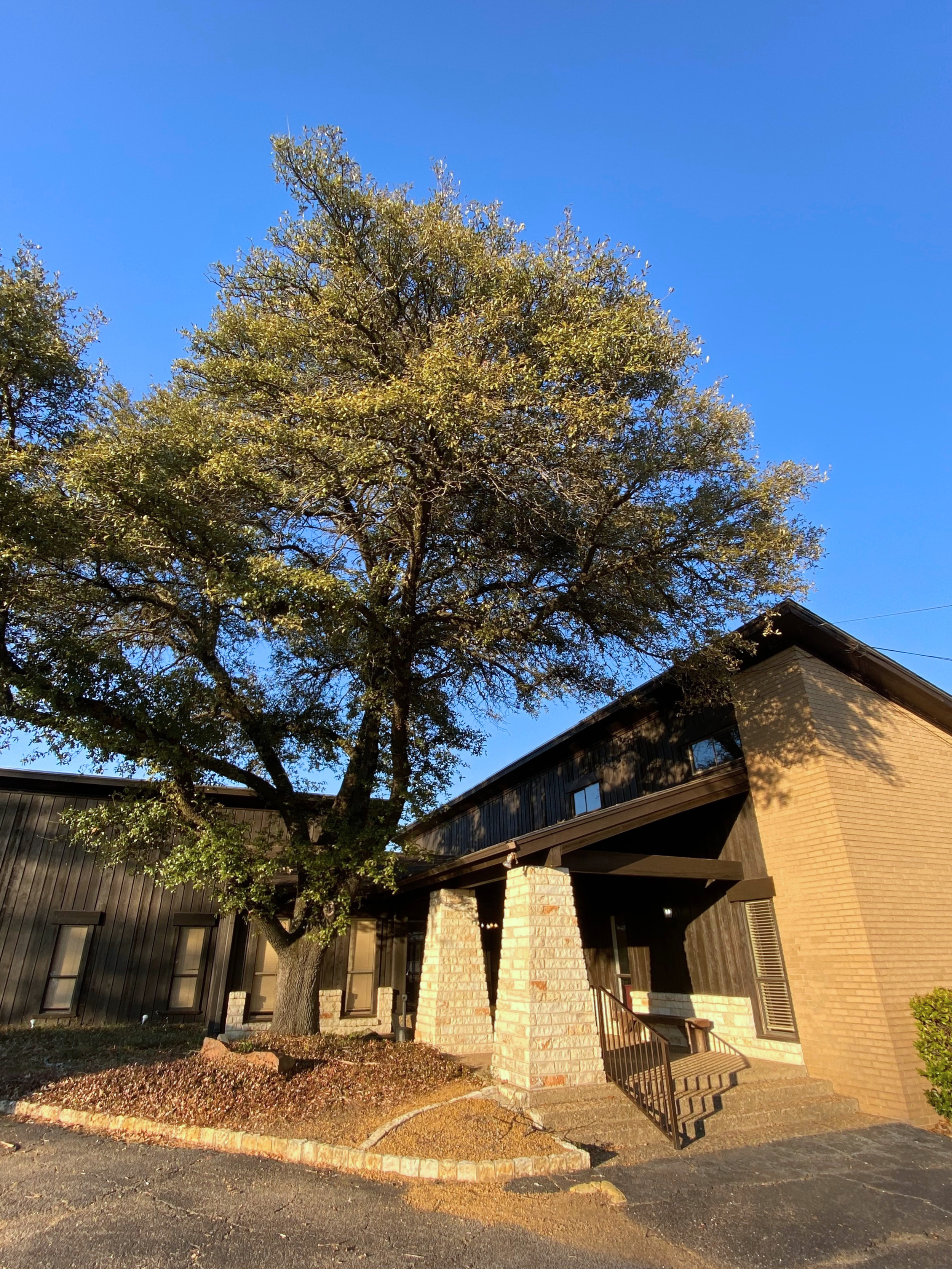 711 N Jefferson Ave.png