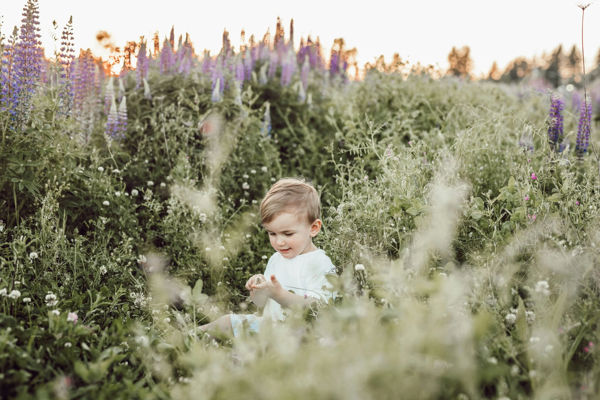 Toddler in Wildflowers