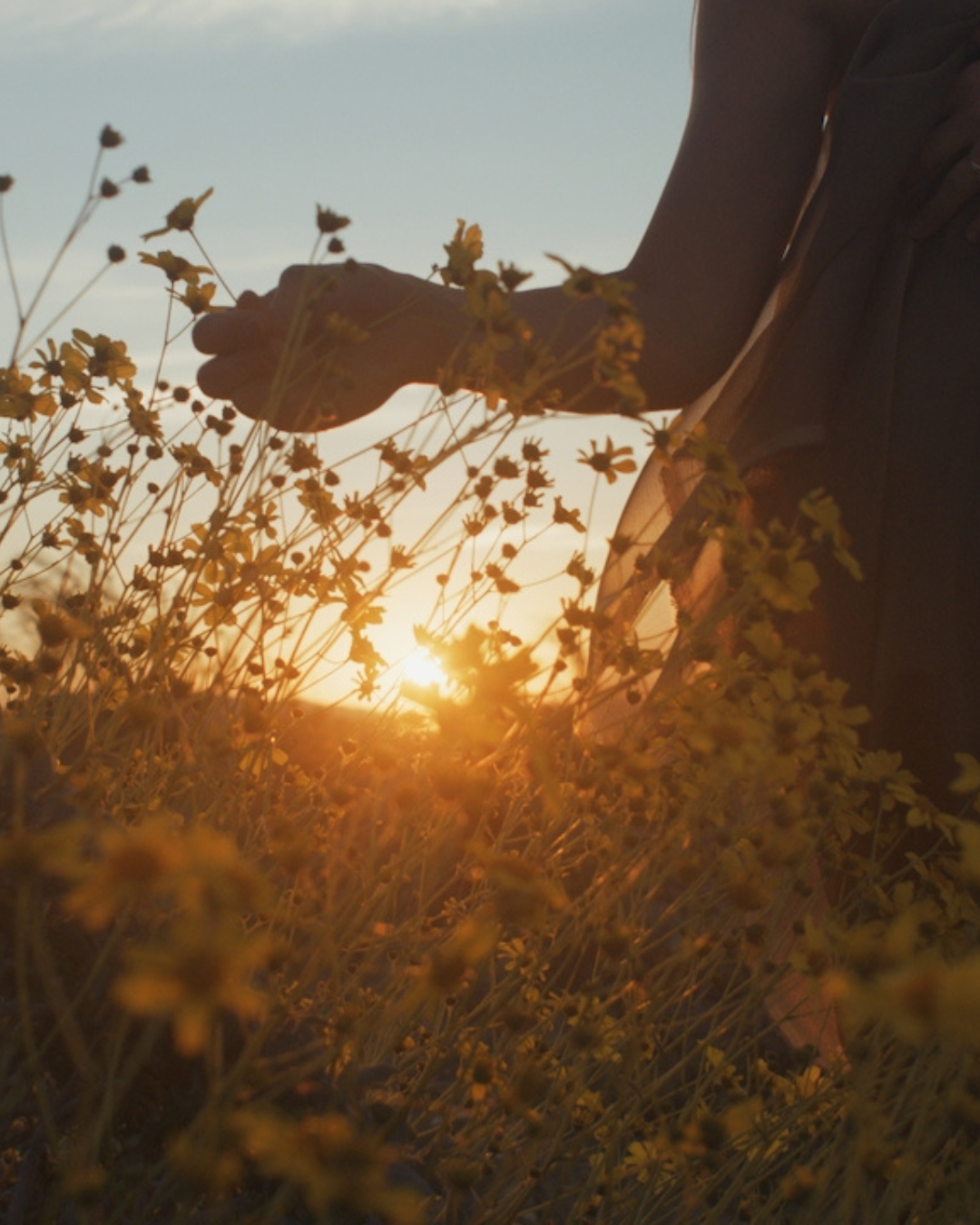 mom who has postpartum depression and is struggling with not bonding with her baby in a flower field at sunset.