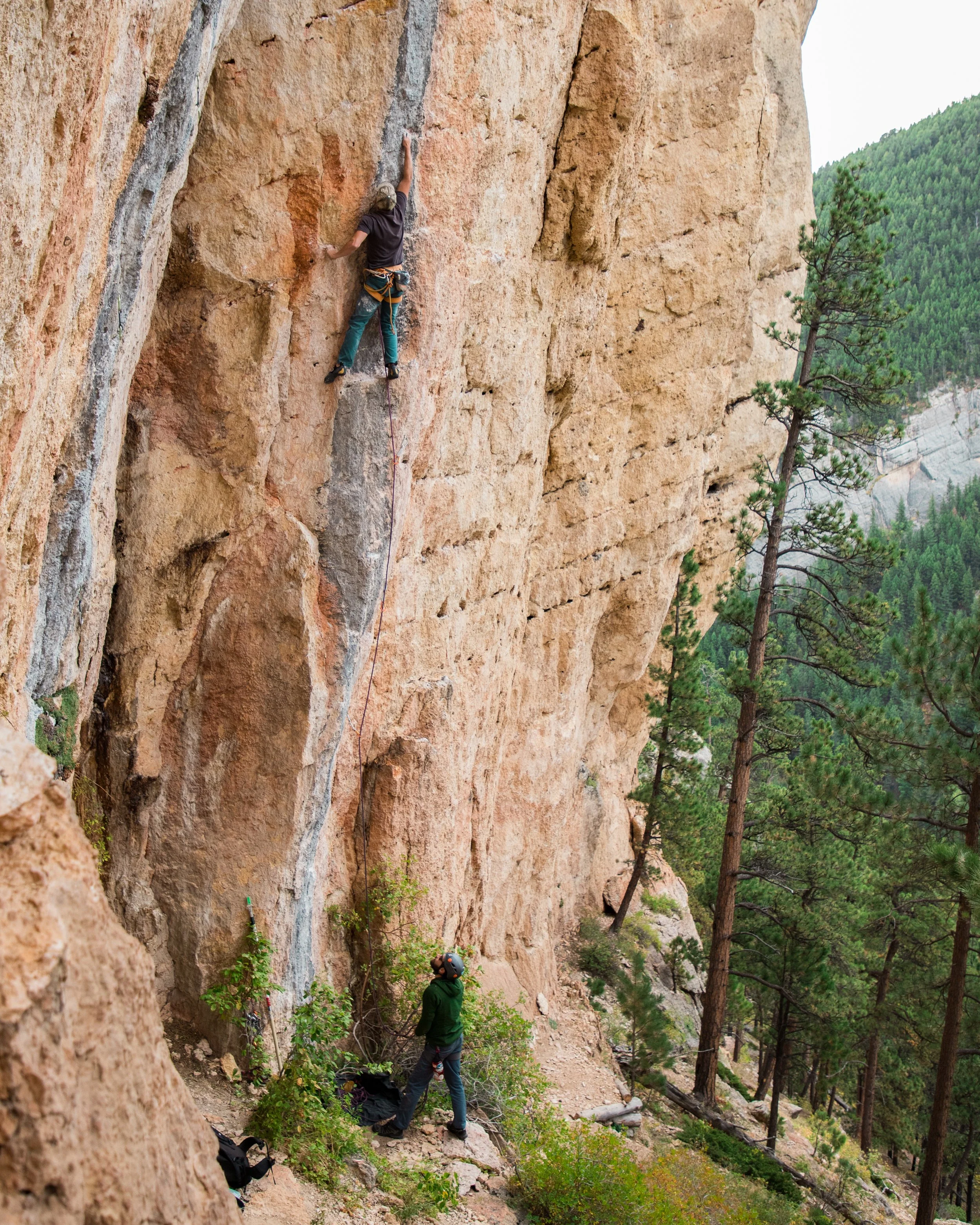 Al at Piney Creek Fest 2018.jpg
