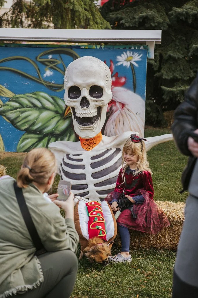 54863824362_7d75f86d27_b (1).jpg