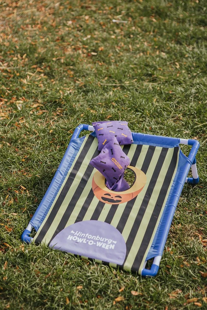 54864672131_f95a383c73_b (1).jpg