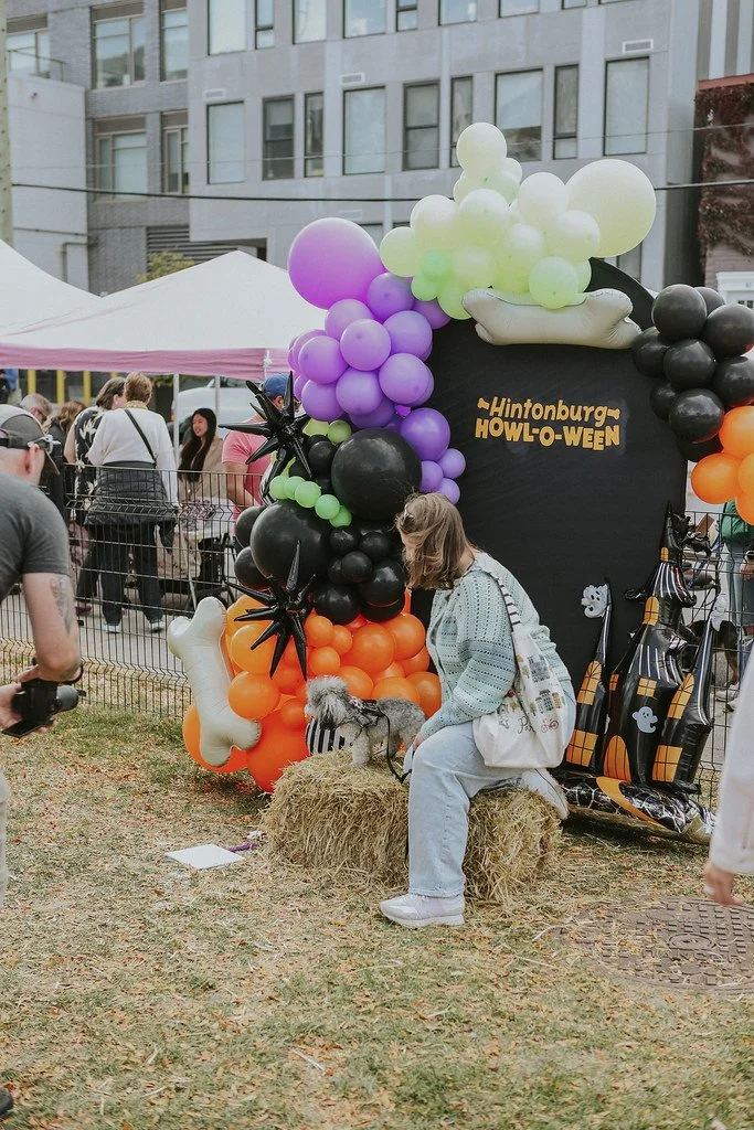 54864927399_bb44062b38_b (2).jpg