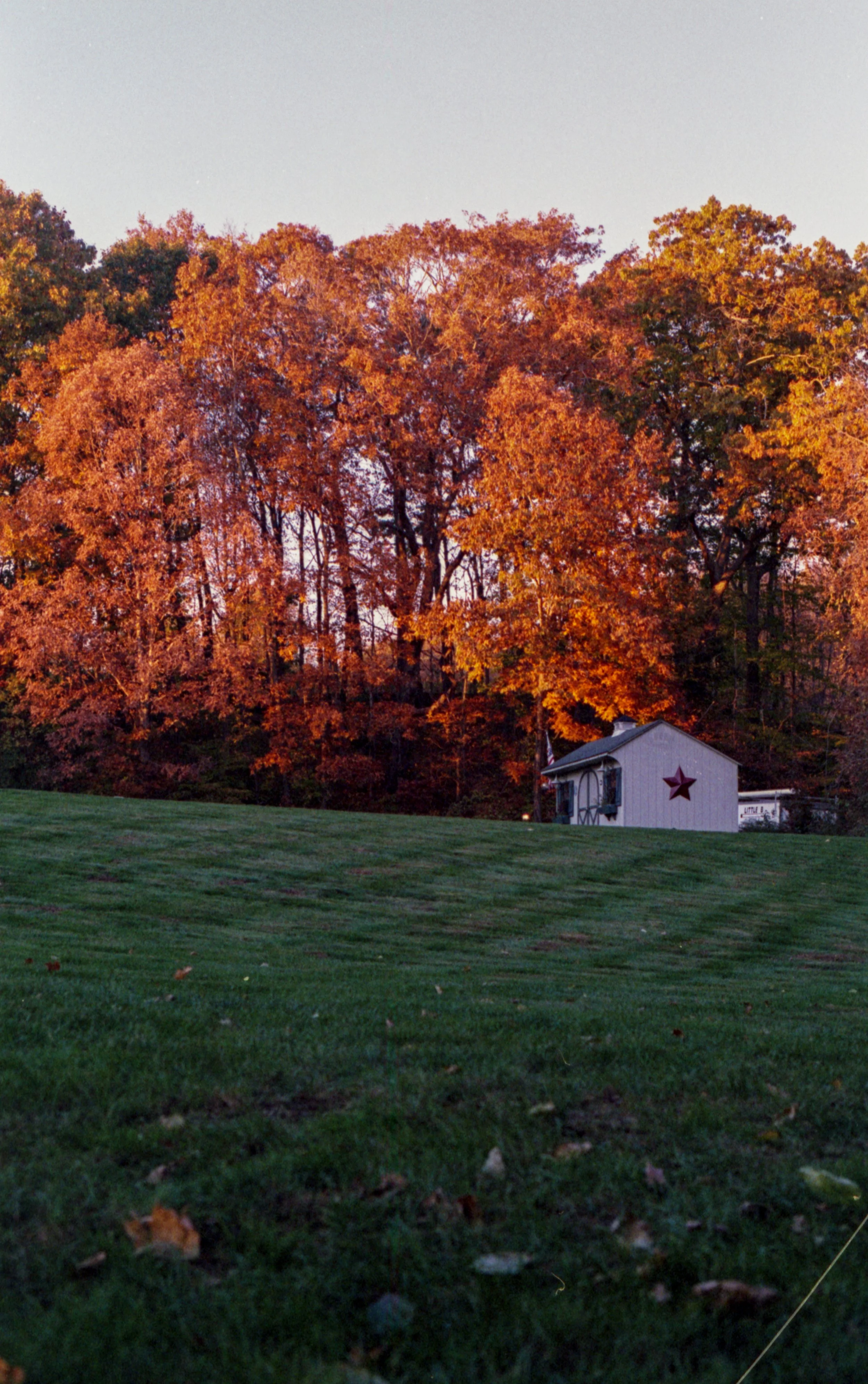 BrightFallDay_Shed_SmallerFile.JPG