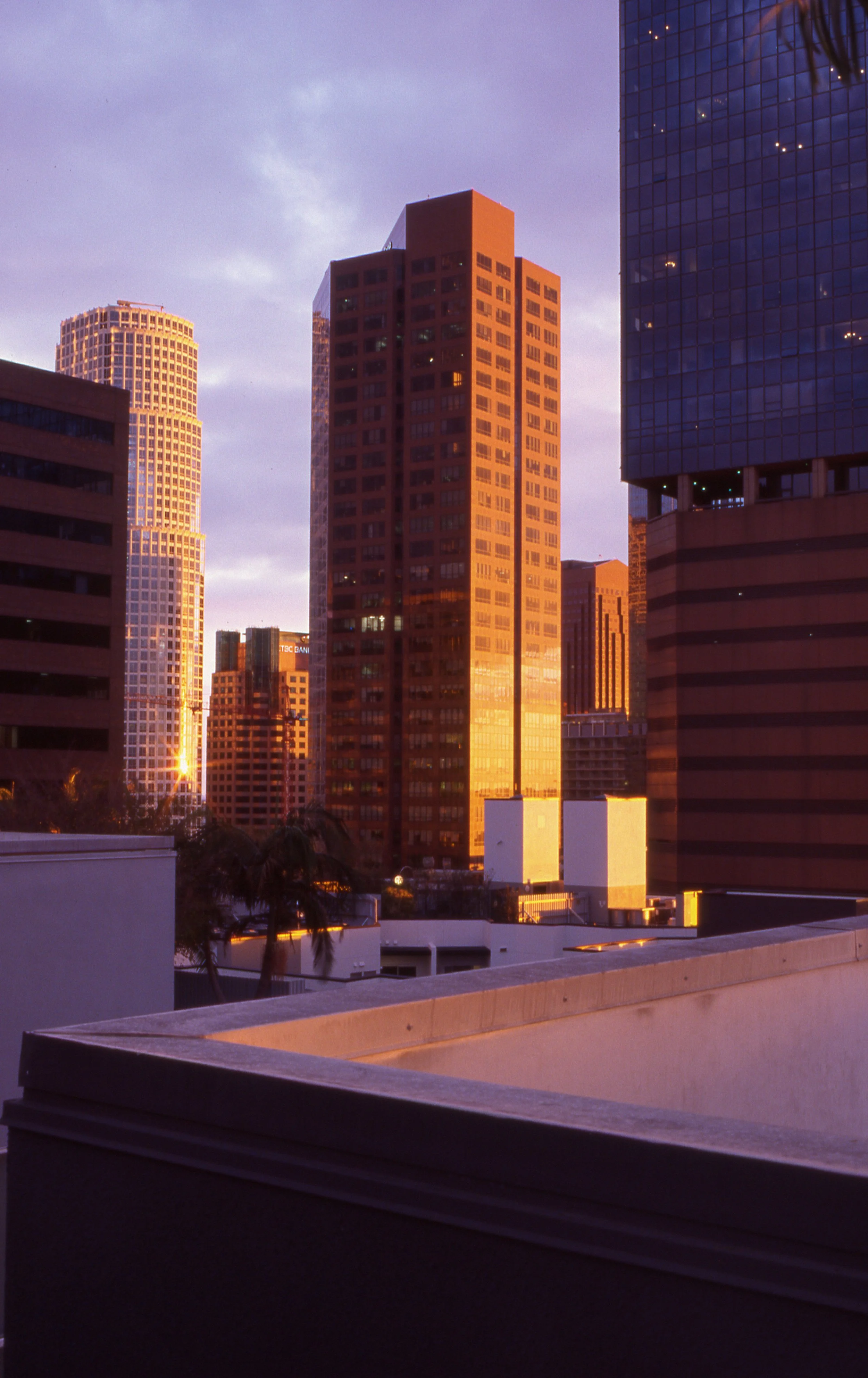 MoonTowerRoof_Sunset_LACareBuilding_EditedSmallerFile.JPG