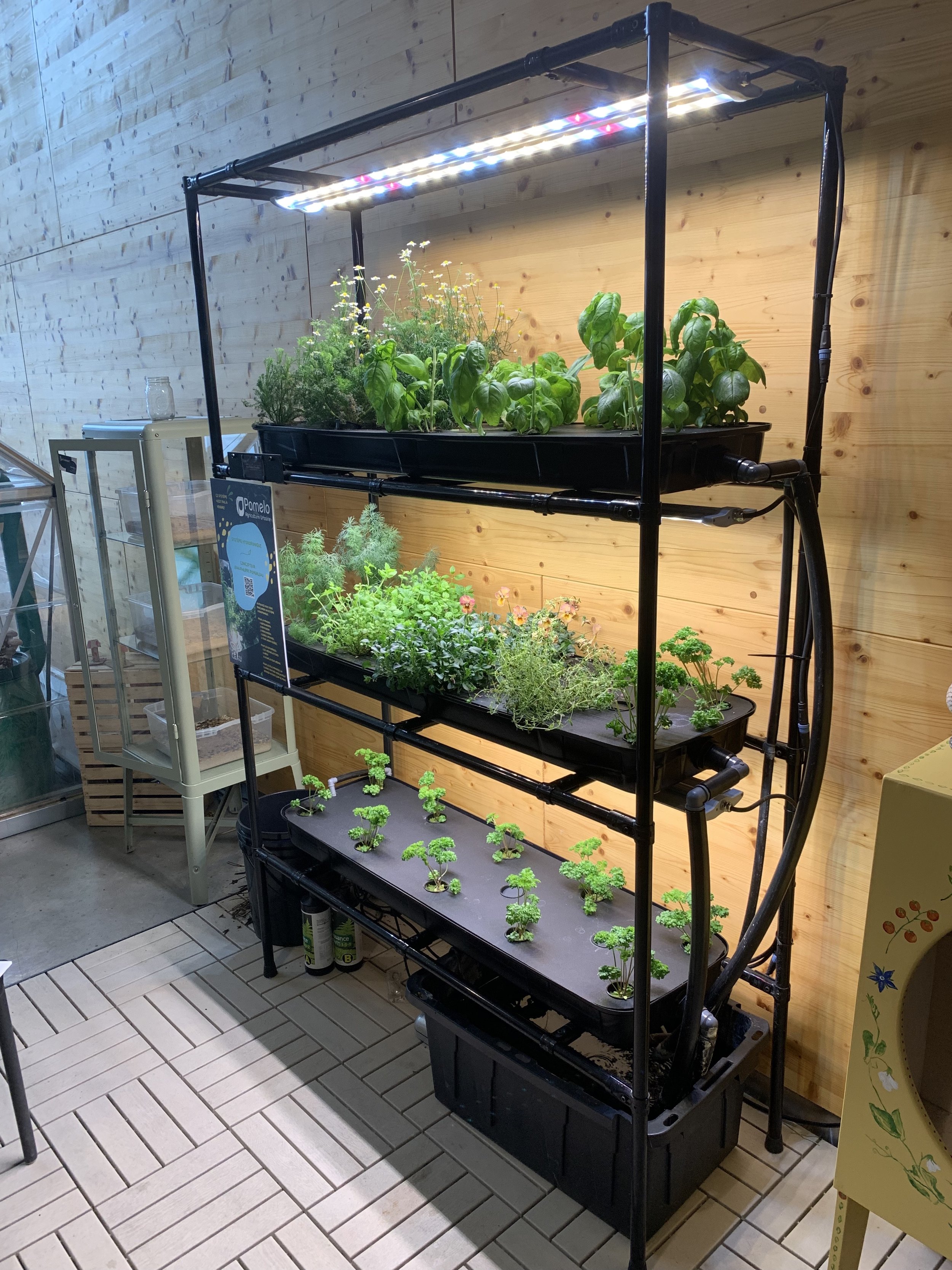 Centre Éducatif en Agriculture Urbaine