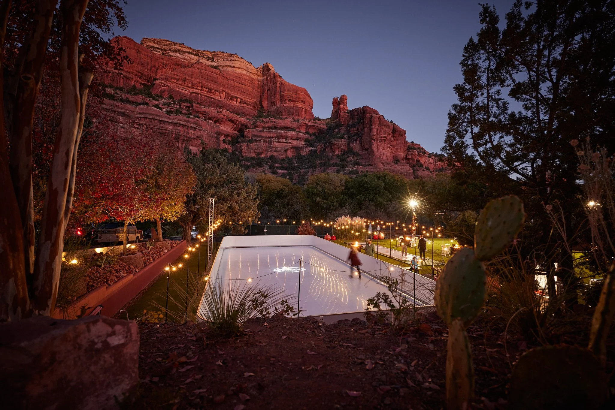 Enchantment_Tree Lighting_0546.jpg