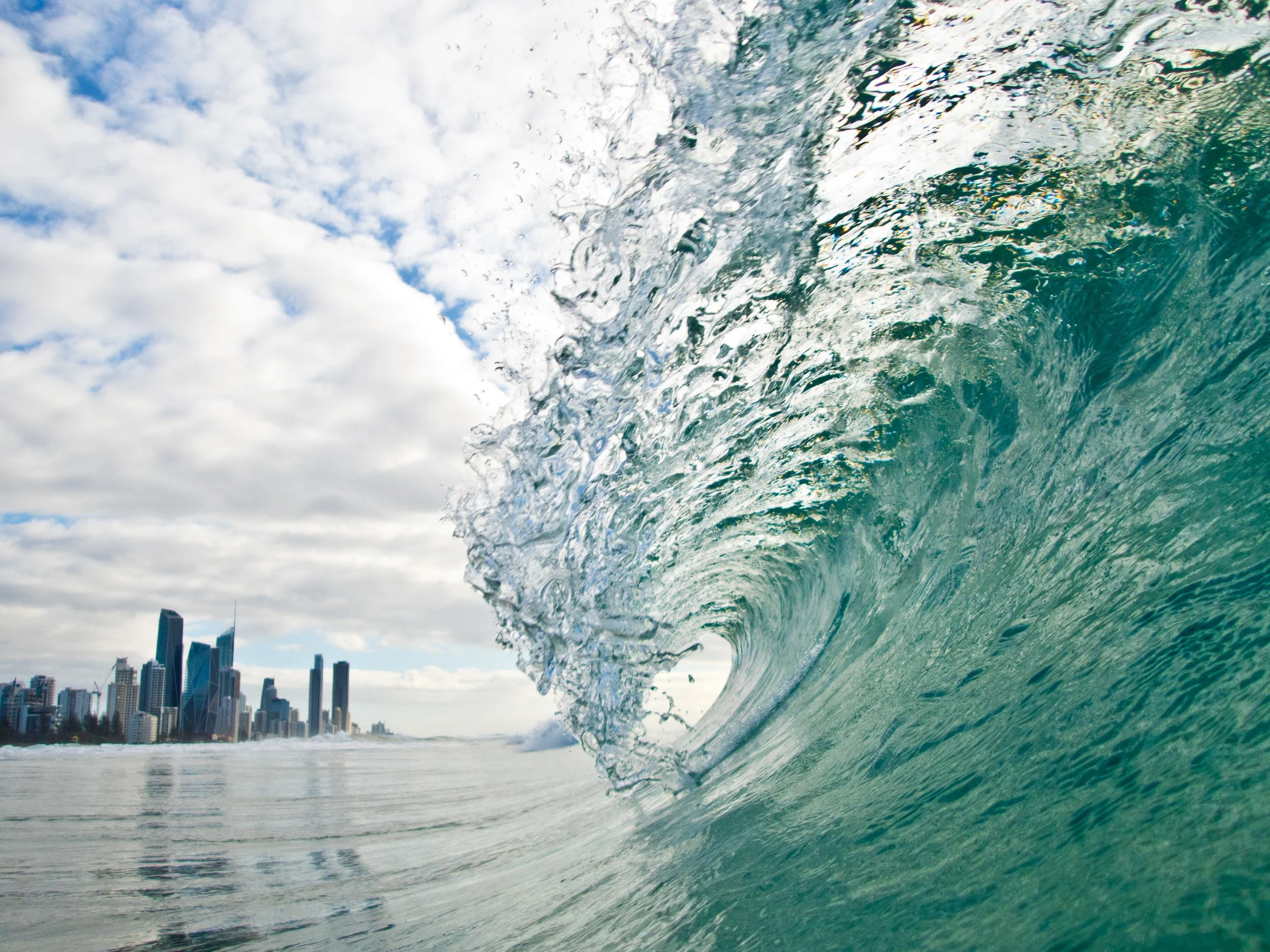 GC and transparent curl 72ppi.jpg