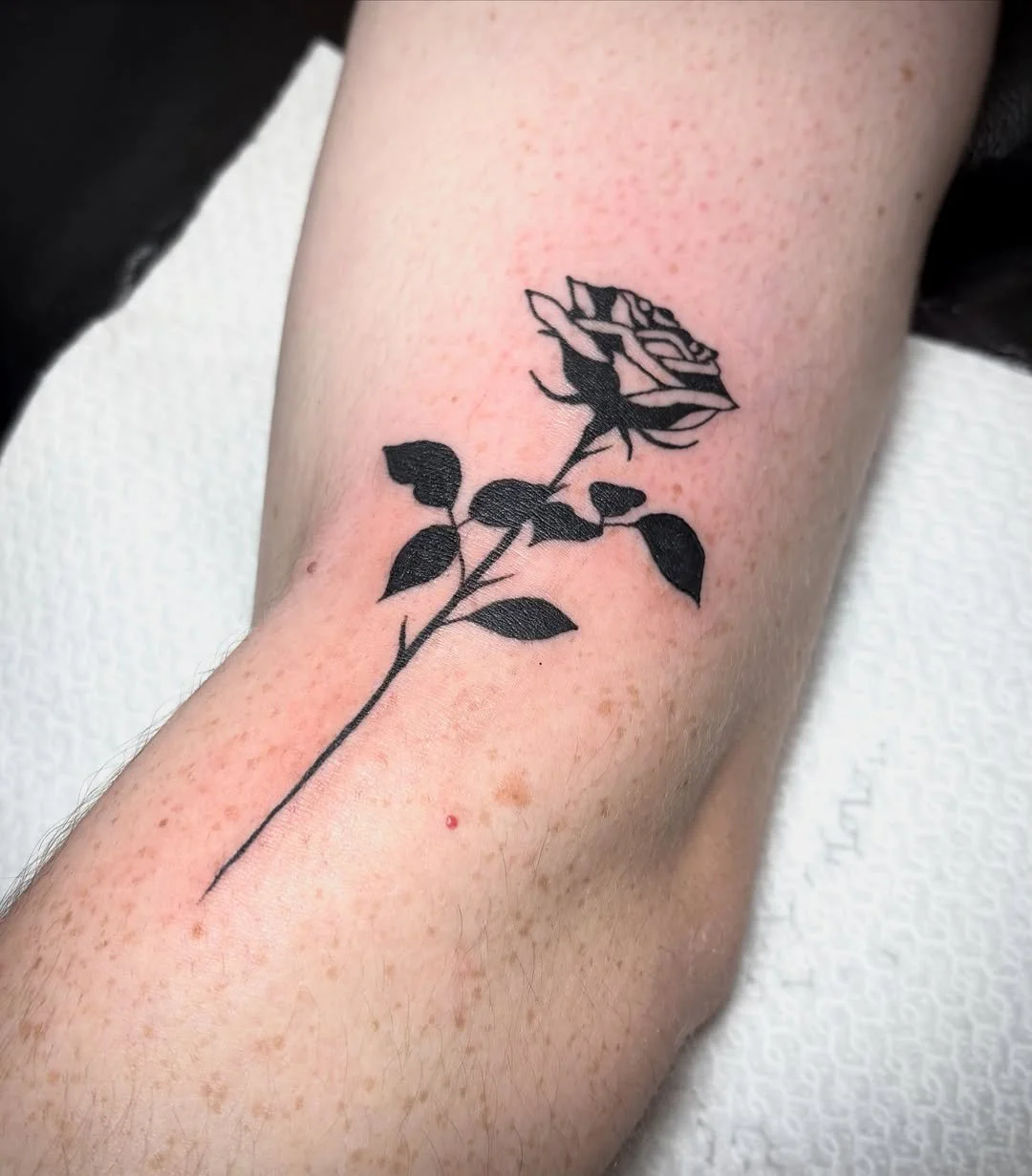 510458228_18332706169161790_6993614313554149617_n.jpg