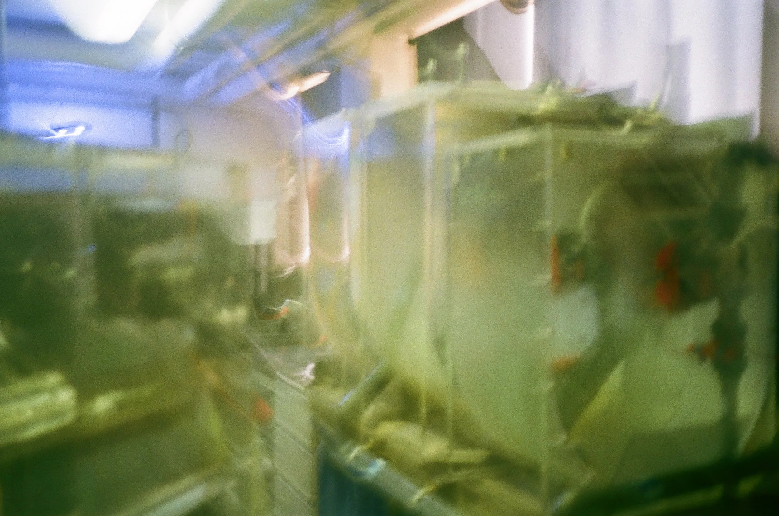 Aquarium in Quebec City