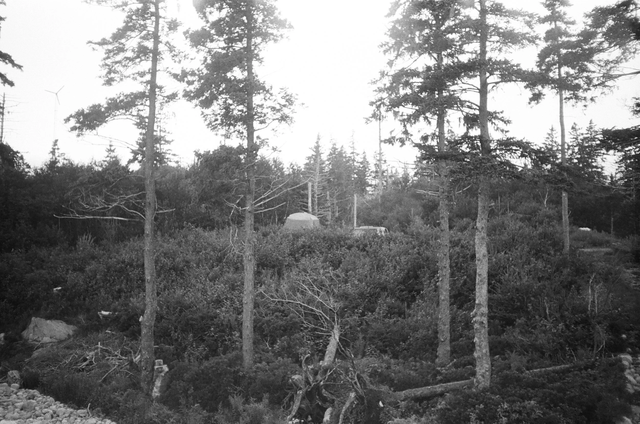 EVil Campsite from my first night in NS