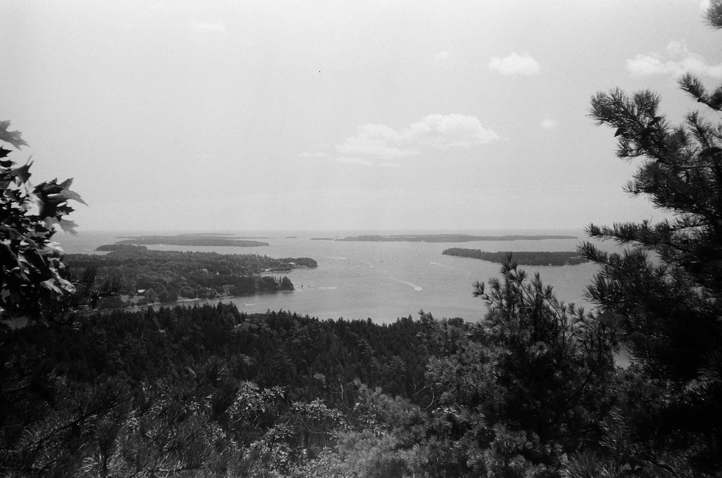 view from acadia.