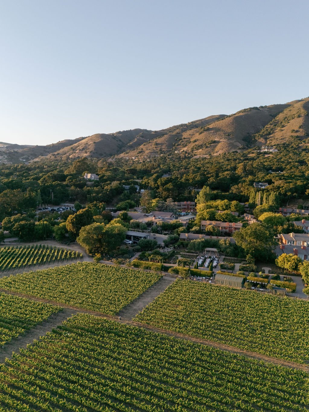 Carmel Valley Wedding Florals: Planning &amp; Investment Guide (2026–2027)