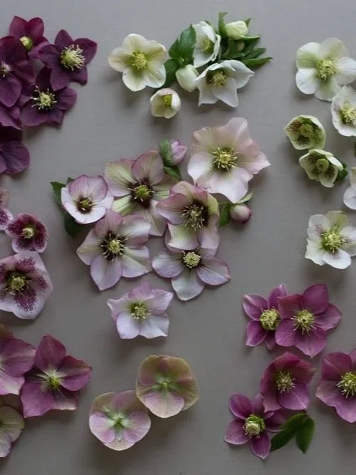 Popular Wedding Flowers by Season