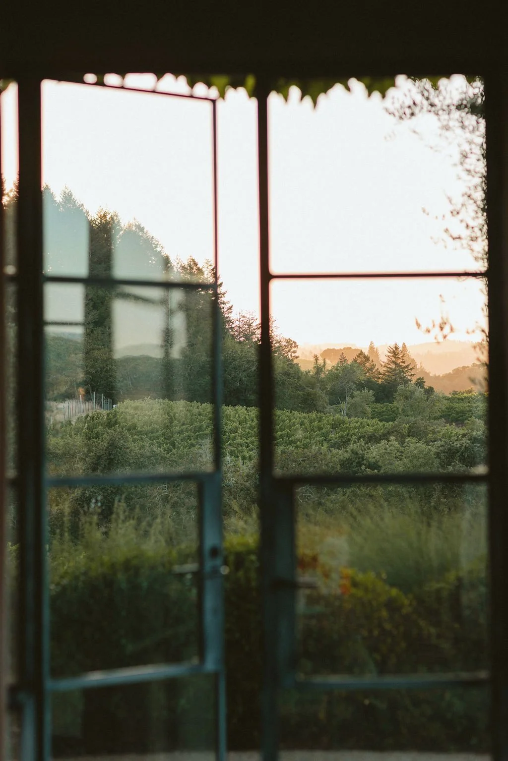 Vineyard ceremony floral installation