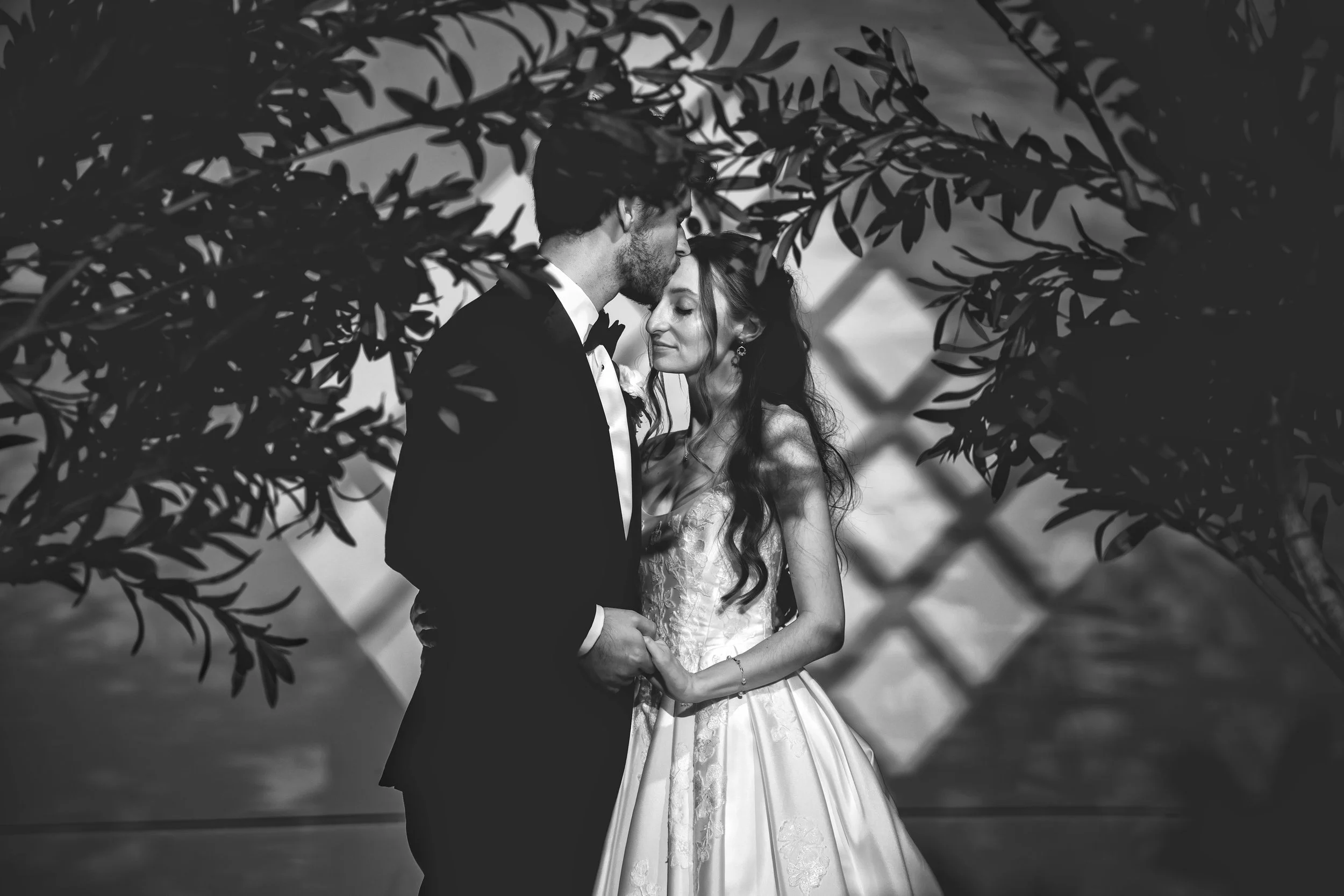 20261017-201507-CarlElixirStudio-2.jpg